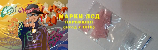 дмт Гусев