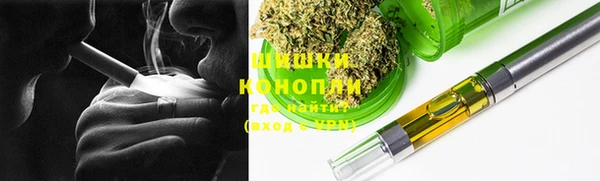 дмт Гусев
