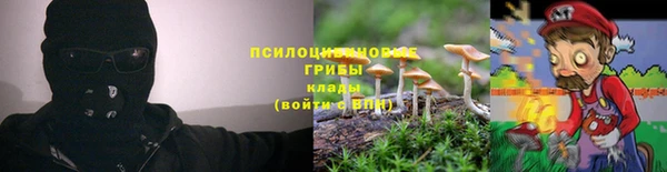 марки nbome Гусь-Хрустальный