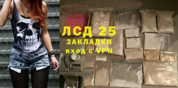дмт Гусев