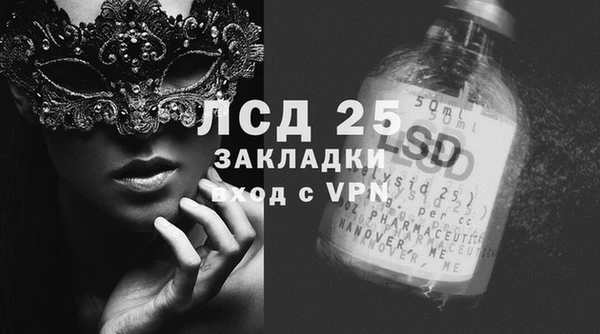 дмт Гусев