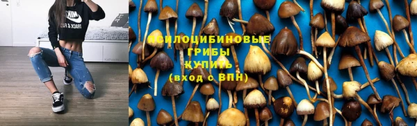 бутират Гусиноозёрск