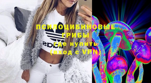 марки nbome Гусь-Хрустальный